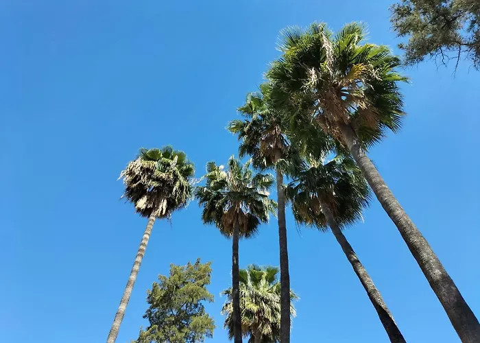 Hotel Vas Málaga Ciudad